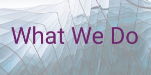 What We Do What We Do